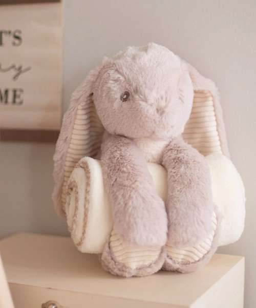 Rabbit and blanket